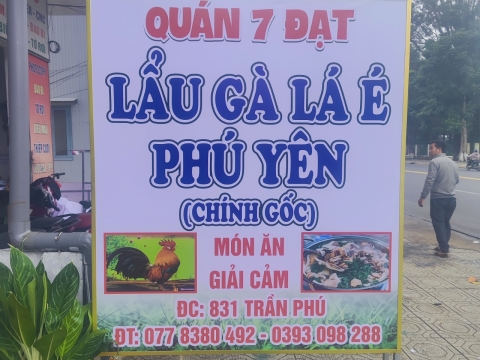 Lẩu gà lá é Phú Yên 7 Đạt